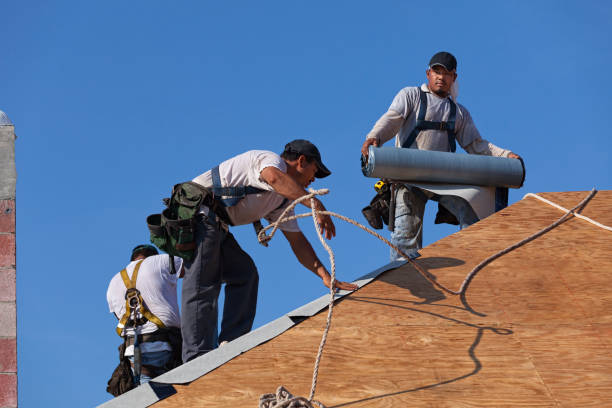 Best New Roof Installation  in Kingsville, TX
