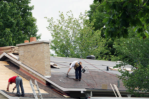 Roof Gutter Cleaning in Kingsville, TX