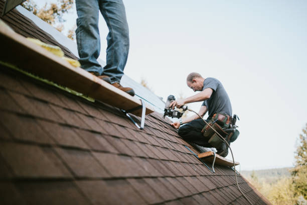 Best Storm Damage Roof Repair  in Kingsville, TX